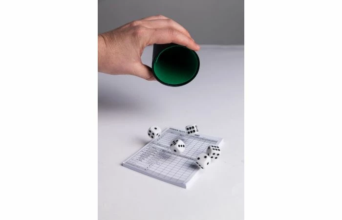 Dobbelset + Scoreblok 4 Dobbelset + Scoreblok - Afbeelding 2