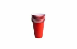 Beer Pong Met 20 Cups En 6 Ballen -OUTDOOR SPEELGOED Winkel 0607063 100