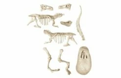 Clementoni Archeospel T-rex Fluor 7+ -OUTDOOR SPEELGOED Winkel 0619176 090