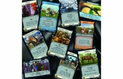 999 Games Dominion Menagerie Uitbreiding -OUTDOOR SPEELGOED Winkel 1200x1200 7