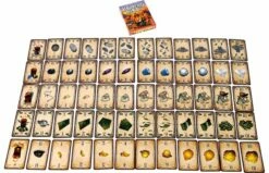 999 Games Blasting Billy -OUTDOOR SPEELGOED Winkel 1200x796 1