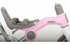 Q-Play Driewieler Tenco Pastel Roze -OUTDOOR SPEELGOED Winkel 15ab5469a9b08de0904c75ab3e69a5c27a9684220ebfb6df83e867bfdb435729
