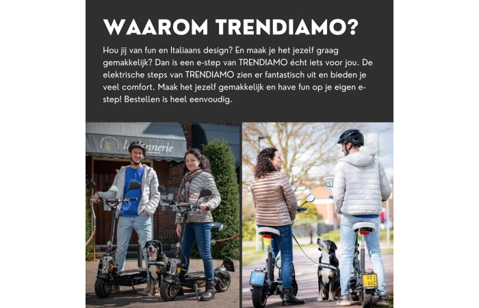 Trendiamo Country (EEC) E-Step (20 Km/u) Loodaccu 12 Trendiamo Country (EEC) E-Step (20 Km/u) Loodaccu - Afbeelding 10