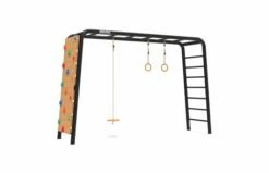 BERG Playbase Large Met Klimmuur, Discschommel En Ringen