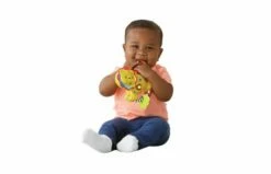VTECH Baby Brul En Speel Rammelaar -OUTDOOR SPEELGOED Winkel 2003568 120