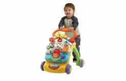 VTECH Baby Baby Walker 11 VTECH Baby Baby Walker -OUTDOOR SPEELGOED Winkel 2003580 120