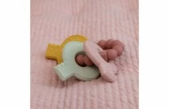 Little Dutch Sleutelbos Bijtspeeltje Roze 11 Little Dutch Sleutelbos Bijtspeeltje Roze -OUTDOOR SPEELGOED Winkel 2006122 100