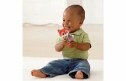 VTECH Baby Dieren Vriendje Rammelaar Vos -OUTDOOR SPEELGOED Winkel 2007346 120