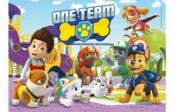 Clementoni Paw Patrol Puzzele 2x20 St 8 Clementoni Paw Patrol Puzzele 2x20 St -OUTDOOR SPEELGOED Winkel 2007639 090