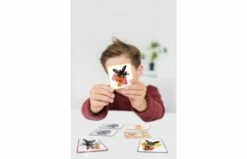 Totum 19090 Bing Maxi Memo -OUTDOOR SPEELGOED Winkel 2008211 150