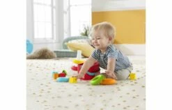 Fisher Price Kleurenringpiramide -OUTDOOR SPEELGOED Winkel 2008385 130