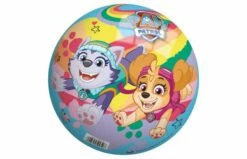 Paw Patrol Decorbal 23 Cm -OUTDOOR SPEELGOED Winkel 2008863 020