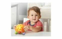 VTECH Baby Wiebel En Wobbel Egel -OUTDOOR SPEELGOED Winkel 2009622 130