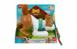 Fisher Price 123 Kruip Met Puppy -OUTDOOR SPEELGOED Winkel 2010240 040