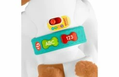 Fisher Price 123 Kruip Met Puppy -OUTDOOR SPEELGOED Winkel 2010240 090