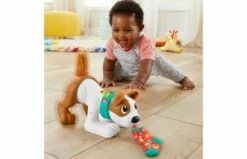 Fisher Price 123 Kruip Met Puppy -OUTDOOR SPEELGOED Winkel 2010240 140