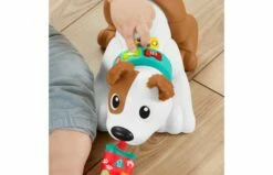 Fisher Price 123 Kruip Met Puppy -OUTDOOR SPEELGOED Winkel 2010240 150