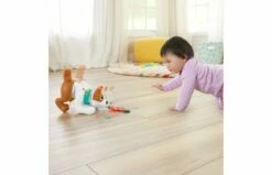 Fisher Price 123 Kruip Met Puppy -OUTDOOR SPEELGOED Winkel 2010240 160