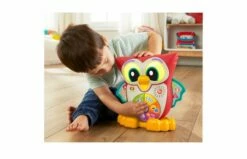 Fisher Price Wijze Ogen Uil -OUTDOOR SPEELGOED Winkel 2010242 120