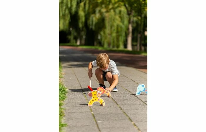 Outdoor Play Dieren Croquet Set 9 Outdoor Play Dieren Croquet Set - Afbeelding 7
