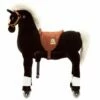 Animal Riding Paard Maharaja Medium Zwart -OUTDOOR SPEELGOED Winkel 41f72ae468c630b045cee3c08be19fdeb241a14e40c1bc70e7564cc75991e960