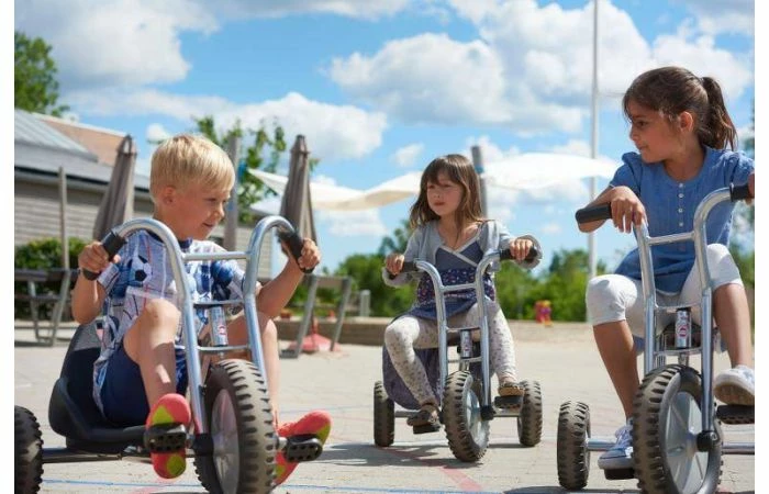 Winther Driewieler Maxi Off-road 7 Winther Driewieler Maxi Off-road - Afbeelding 5