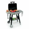 SMOBY Speelgoed Kinder Barbecue 2 SMOBY Speelgoed Kinder Barbecue -OUTDOOR SPEELGOED Winkel 84501bdb073a3d37b01f9187f14e7126c71aa3ae5146d01b0c359feff0d13a99