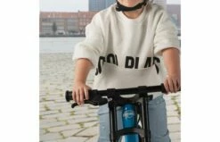 BERG Biky Cross Grey Met Handrem -OUTDOOR SPEELGOED Winkel berg biky handbrake 1