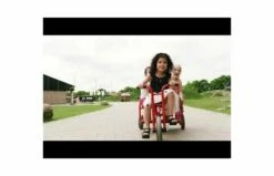 Winther Taxi Tweezits -OUTDOOR SPEELGOED Winkel hqdefault 46 6