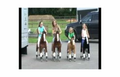 Animal Riding Paard Amadeus Bruin XS / Mini -OUTDOOR SPEELGOED Winkel hqdefault 53 75