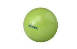 Kerby Stoeprandenbal 15 Kerby Stoeprandenbal -OUTDOOR SPEELGOED Winkel kerby lime 1
