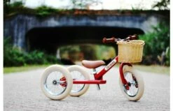 Fietsmandje Tbv Trybike Steel -OUTDOOR SPEELGOED Winkel l img 3928