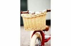 Fietsmandje Tbv Trybike Steel -OUTDOOR SPEELGOED Winkel l img 3958