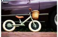 Fietsmandje Tbv Trybike Steel -OUTDOOR SPEELGOED Winkel l img 3971