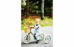 Fietsmandje Tbv Trybike Steel -OUTDOOR SPEELGOED Winkel l img 4000