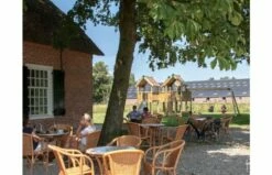 HY-LAND Speeltoestel P8-S 17 HY-LAND Speeltoestel P8-S -OUTDOOR SPEELGOED Winkel wooden professional jungle gym with swing p8s hy land 11